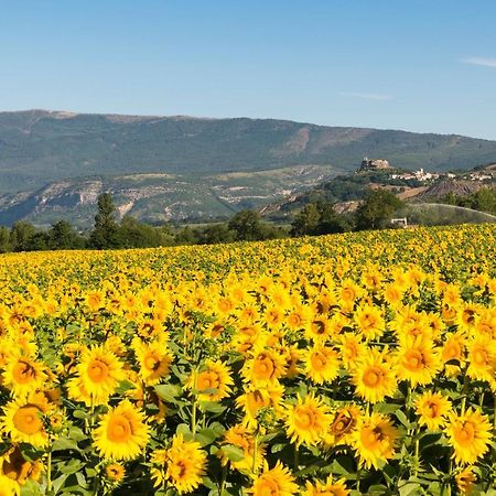 Serre Des Ormes - Cycling, Walking & Running Retreat Salerans 외부 사진