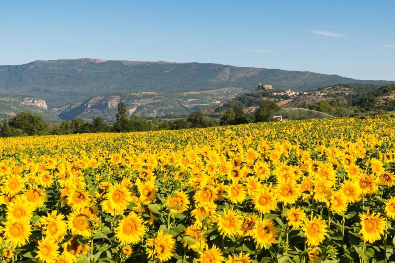 Serre Des Ormes - Cycling, Walking & Running Retreat Salerans 외부 사진